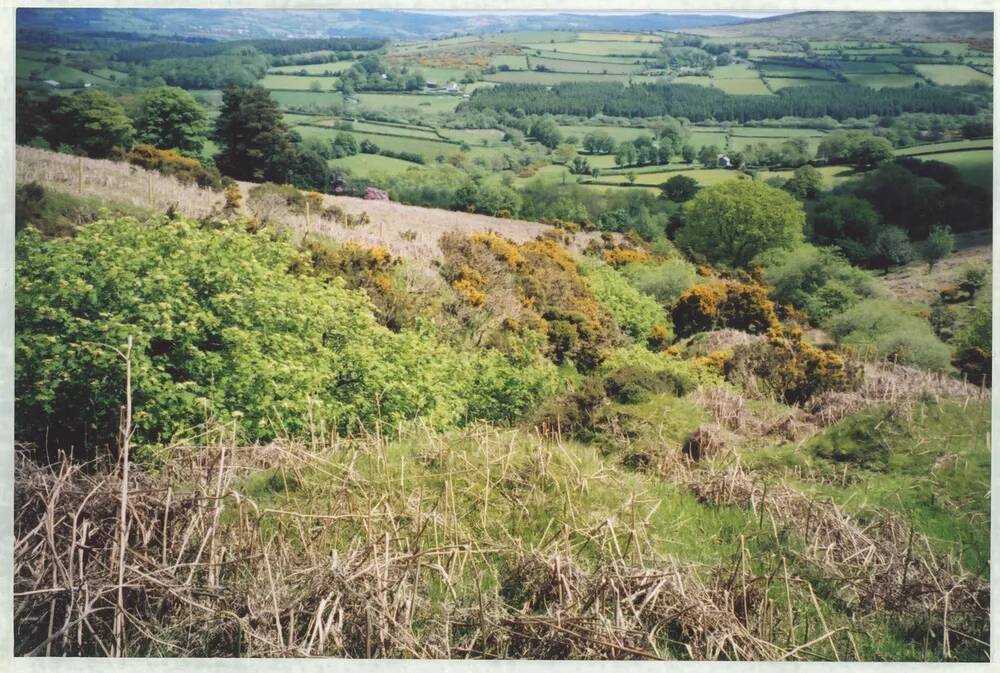 An image from the Dartmoor Trust Archive