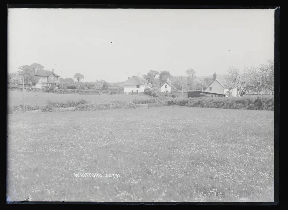 Whitford: general view, Shute