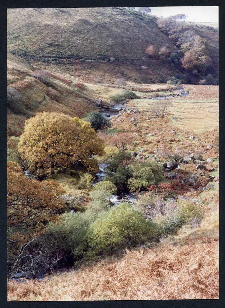 An image from the Dartmoor Trust Archive