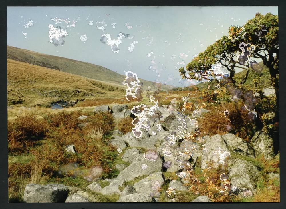 An image from the Dartmoor Trust Archive