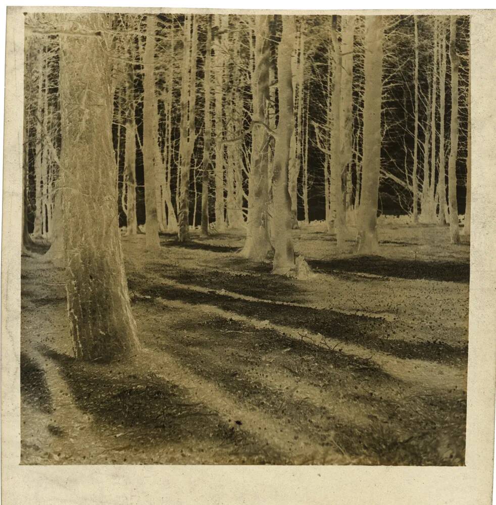 An image from the Dartmoor Trust Archive