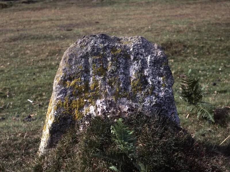 An image from the Dartmoor Trust Archive