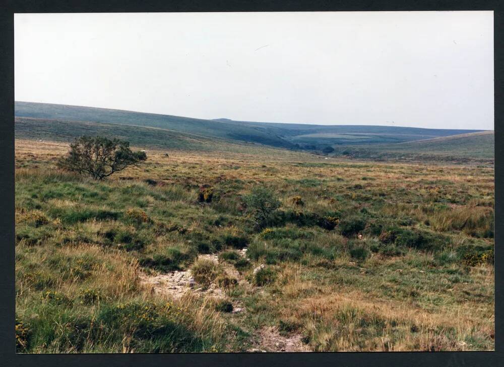 An image from the Dartmoor Trust Archive