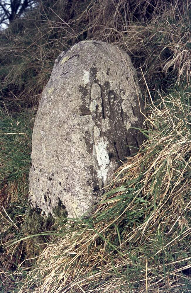 An image from the Dartmoor Trust Archive