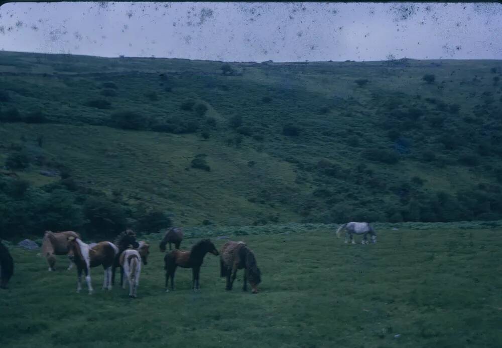 An image from the Dartmoor Trust Archive