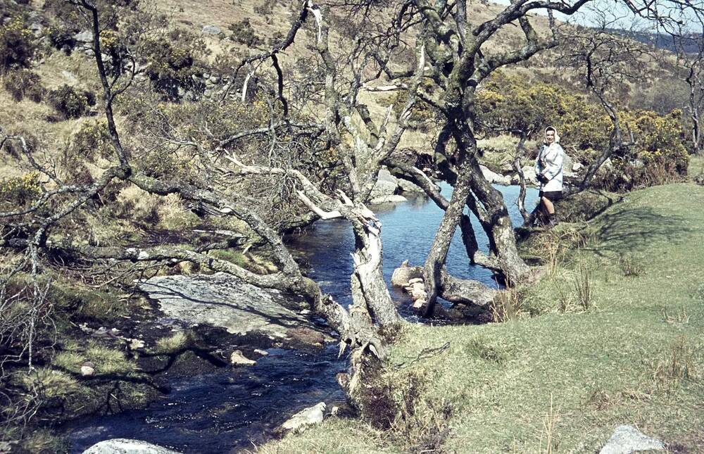 An image from the Dartmoor Trust Archive