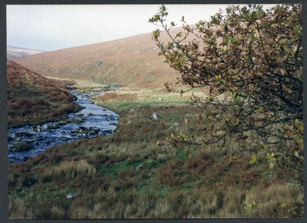 An image from the Dartmoor Trust Archive