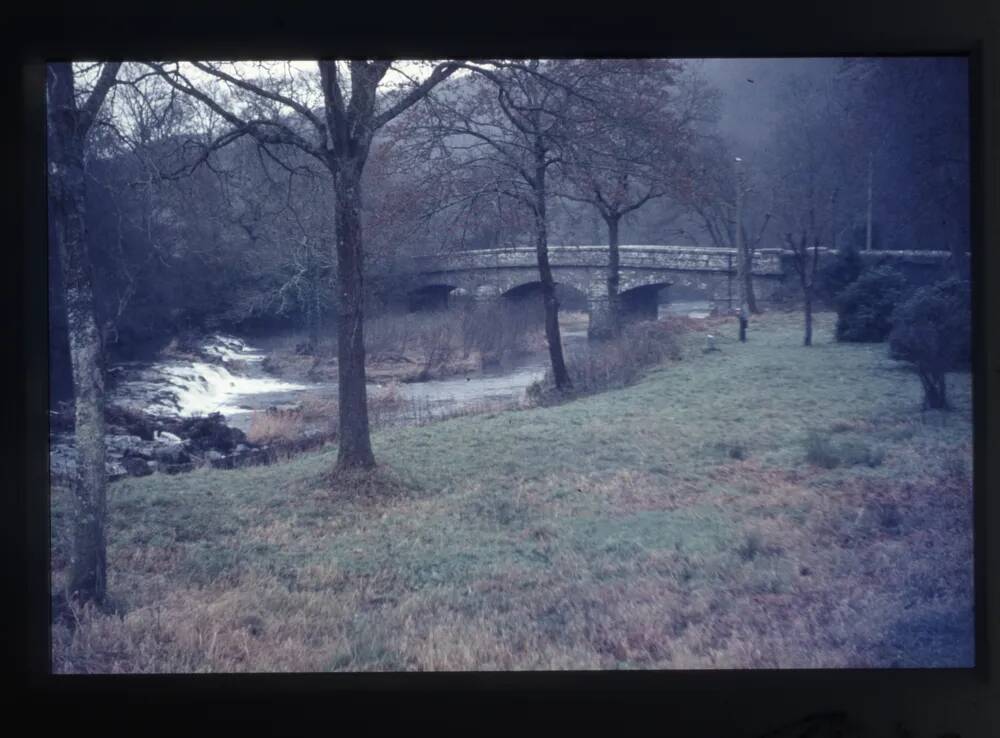 Steps Bridge