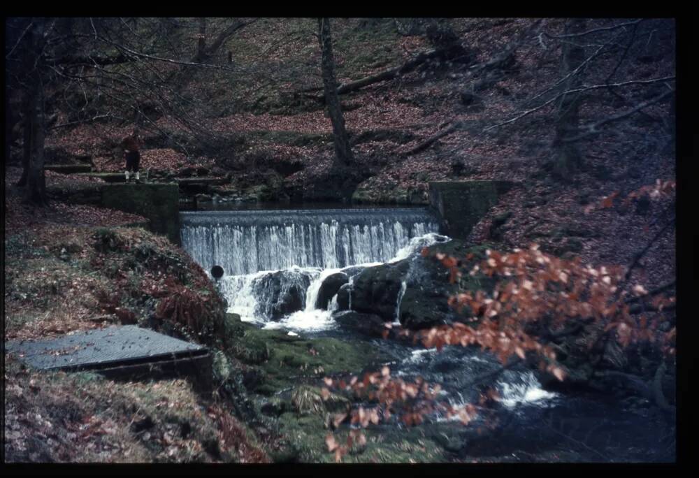 River Yealm - weir - Hawns and Dendles woods