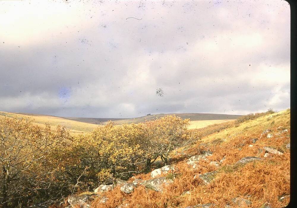 An image from the Dartmoor Trust Archive