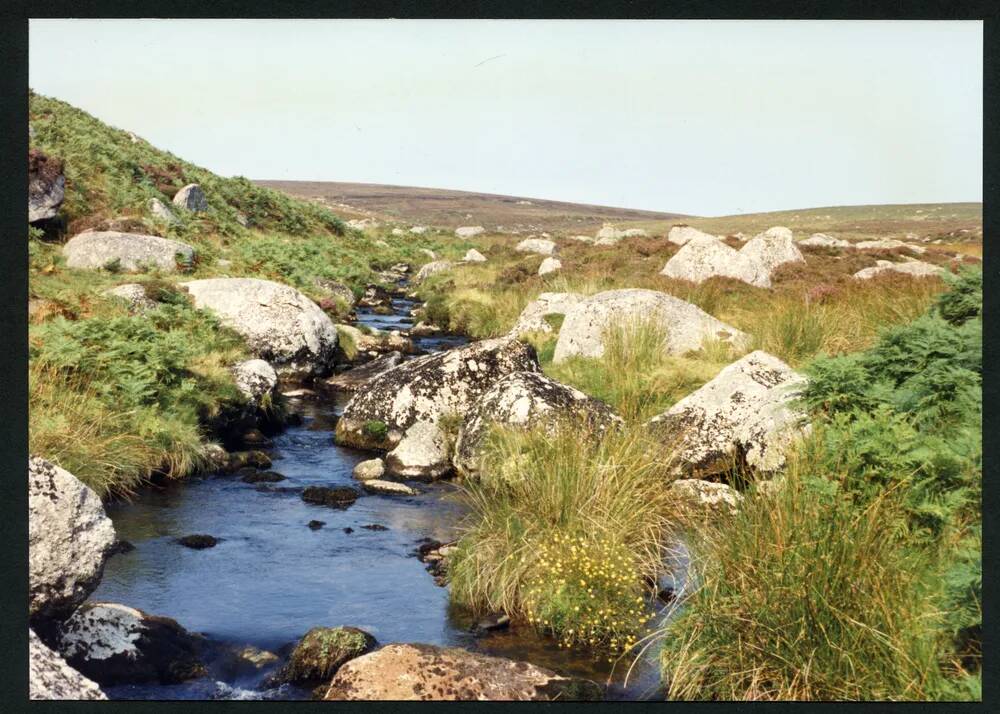 An image from the Dartmoor Trust Archive