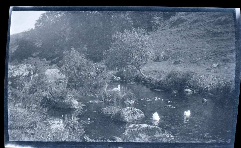 An image from the Dartmoor Trust Archive