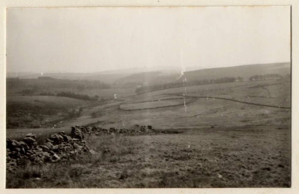 Roundy Park, from Broad Down Ring