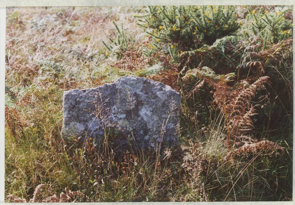 An image from the Dartmoor Trust Archive