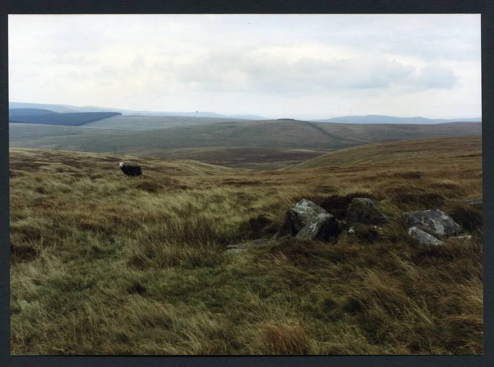 An image from the Dartmoor Trust Archive