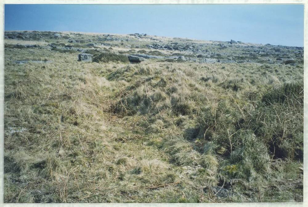 An image from the Dartmoor Trust Archive