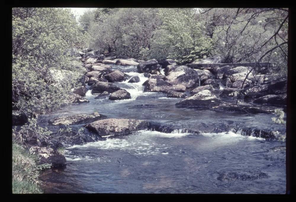 East Dart near Postbridge