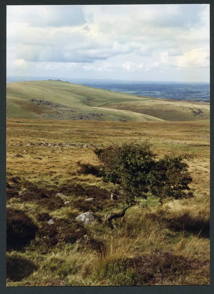 An image from the Dartmoor Trust Archive