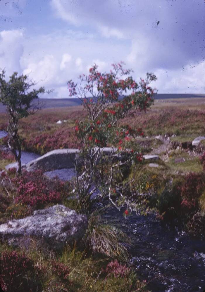 An image from the Dartmoor Trust Archive