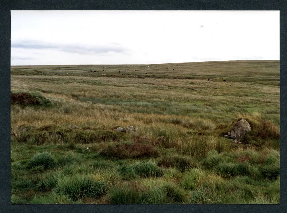 23/39 Aune Head Mires 17/7/1991