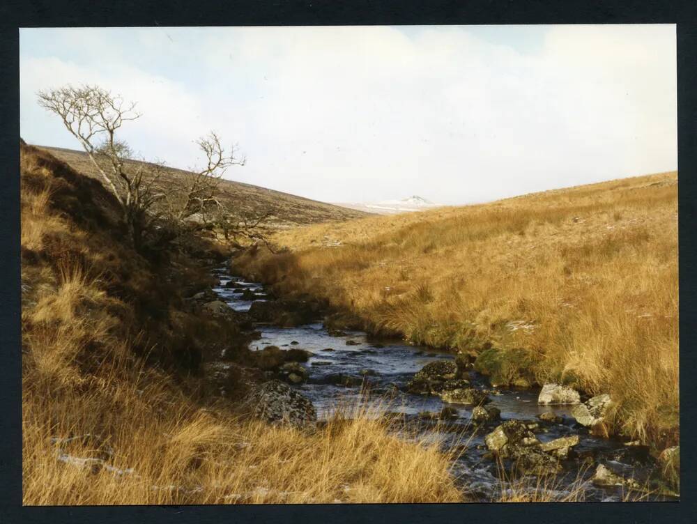 An image from the Dartmoor Trust Archive