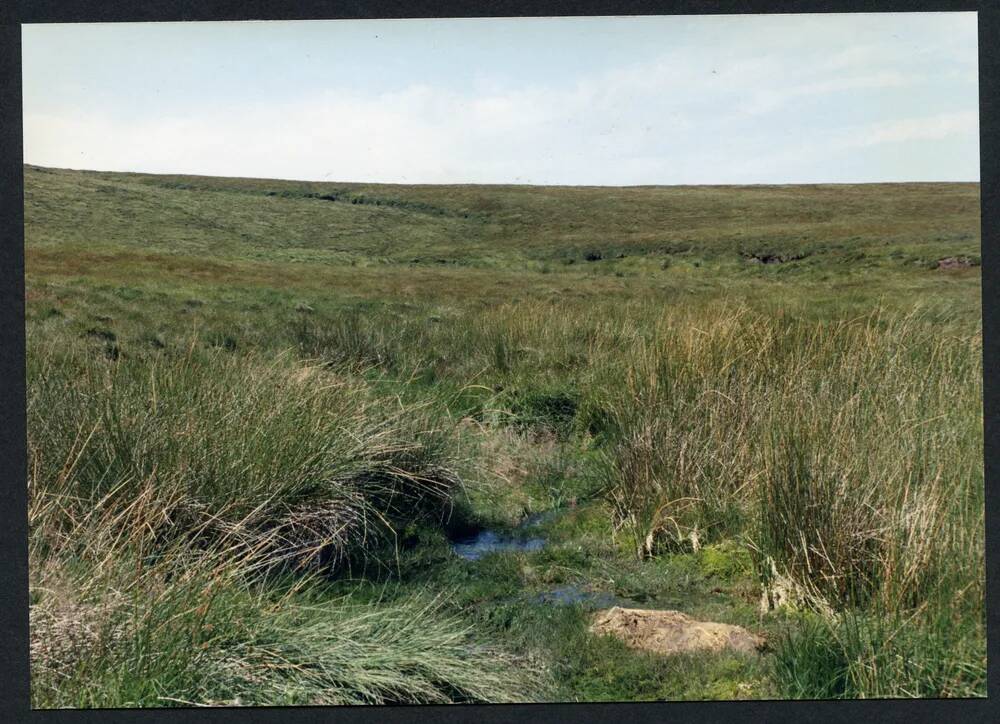 31/46 Source of Cut Lane stream 18/8/1991