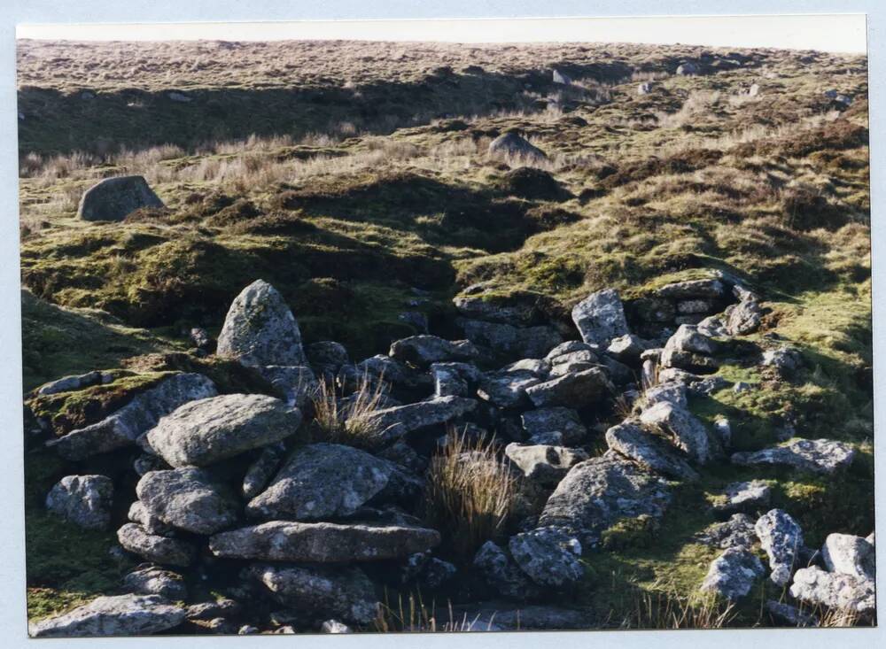 An image from the Dartmoor Trust Archive