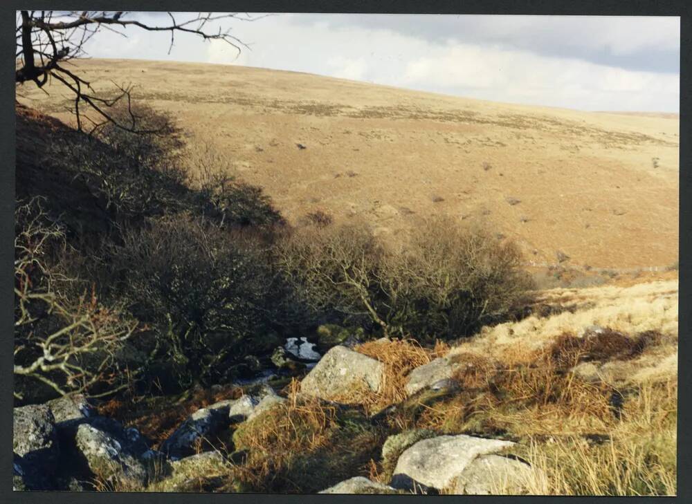 An image from the Dartmoor Trust Archive