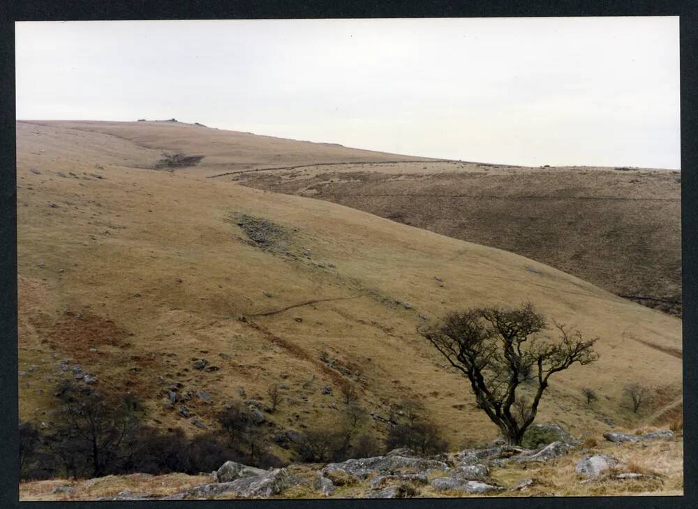 An image from the Dartmoor Trust Archive