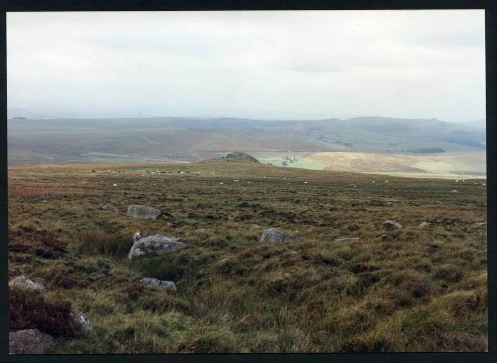 20/63 Near source of Hen Tor Brook North to Hen Tor and Ditsworthy 2/10/1991