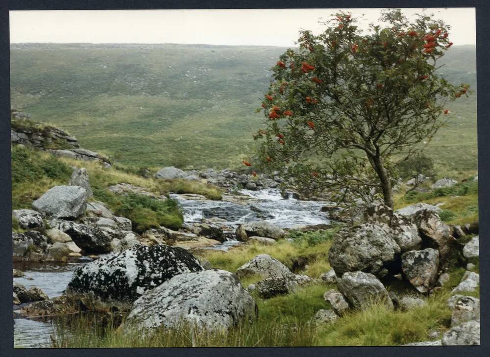 An image from the Dartmoor Trust Archive