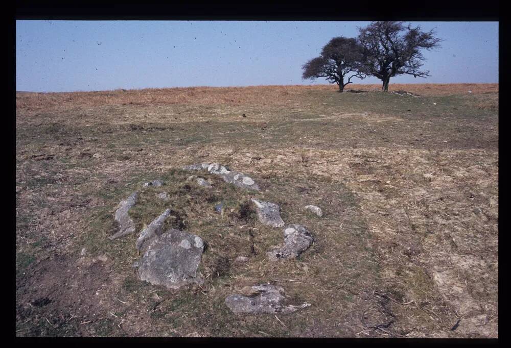 Thorn's Cross