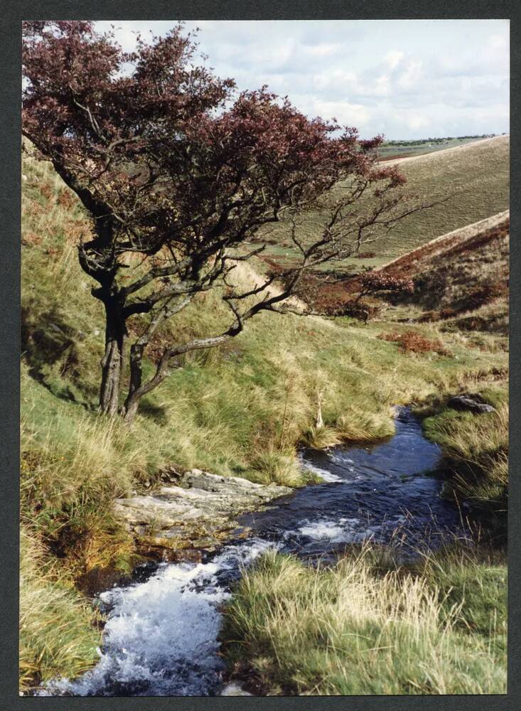 An image from the Dartmoor Trust Archive