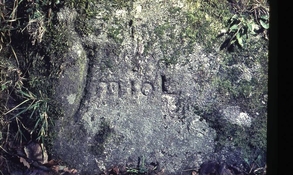 An image from the Dartmoor Trust Archive