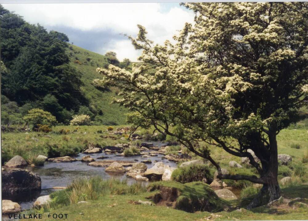 An image from the Dartmoor Trust Archive