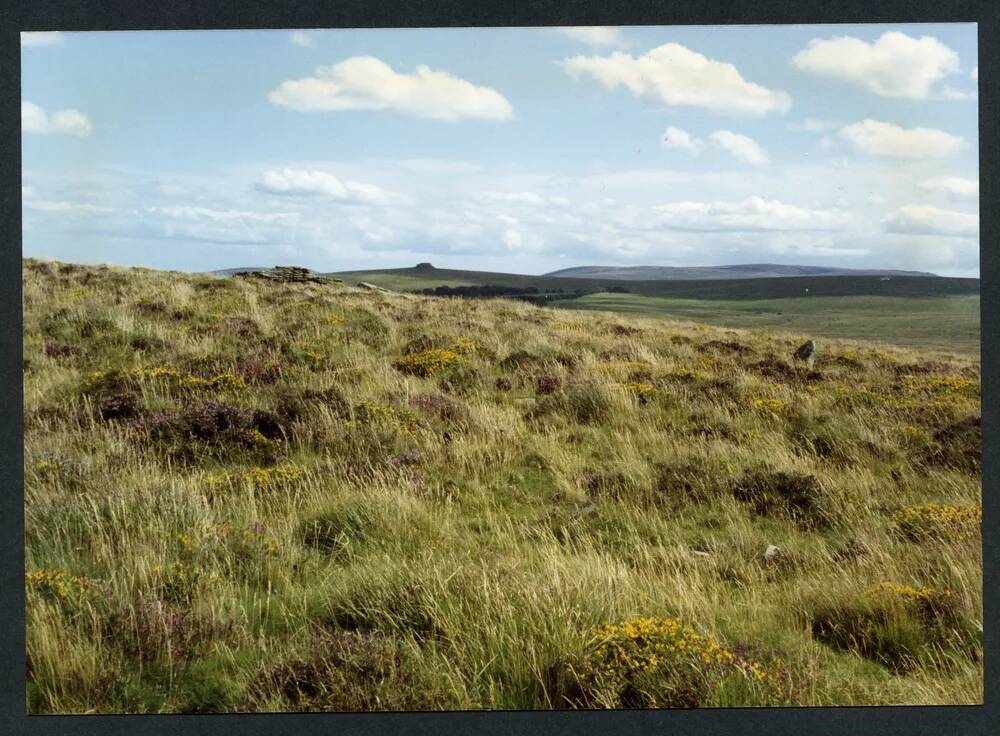 An image from the Dartmoor Trust Archive