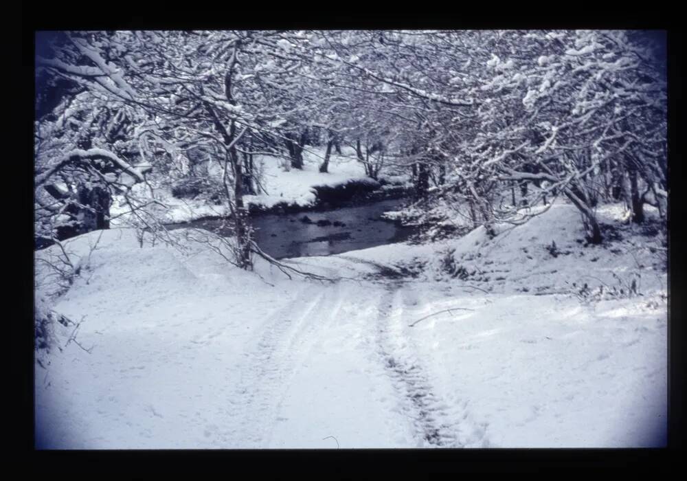 Abbots Way at Dean Burn