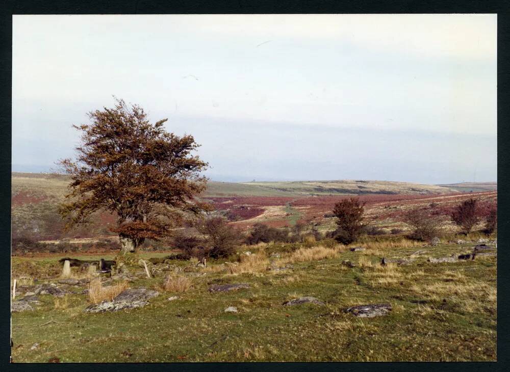 An image from the Dartmoor Trust Archive