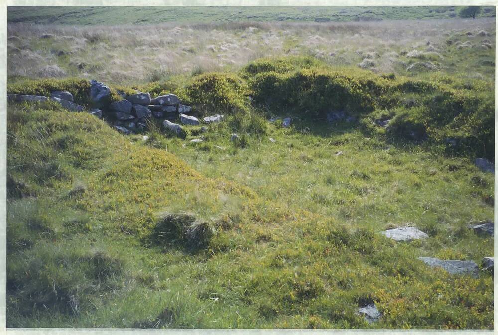 An image from the Dartmoor Trust Archive