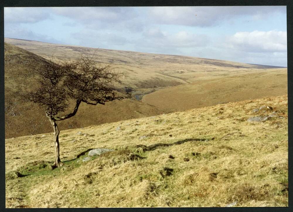 An image from the Dartmoor Trust Archive