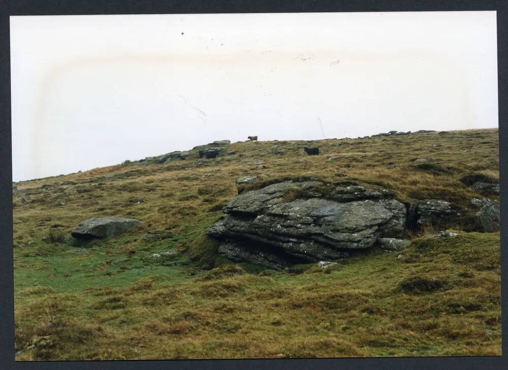 An image from the Dartmoor Trust Archive