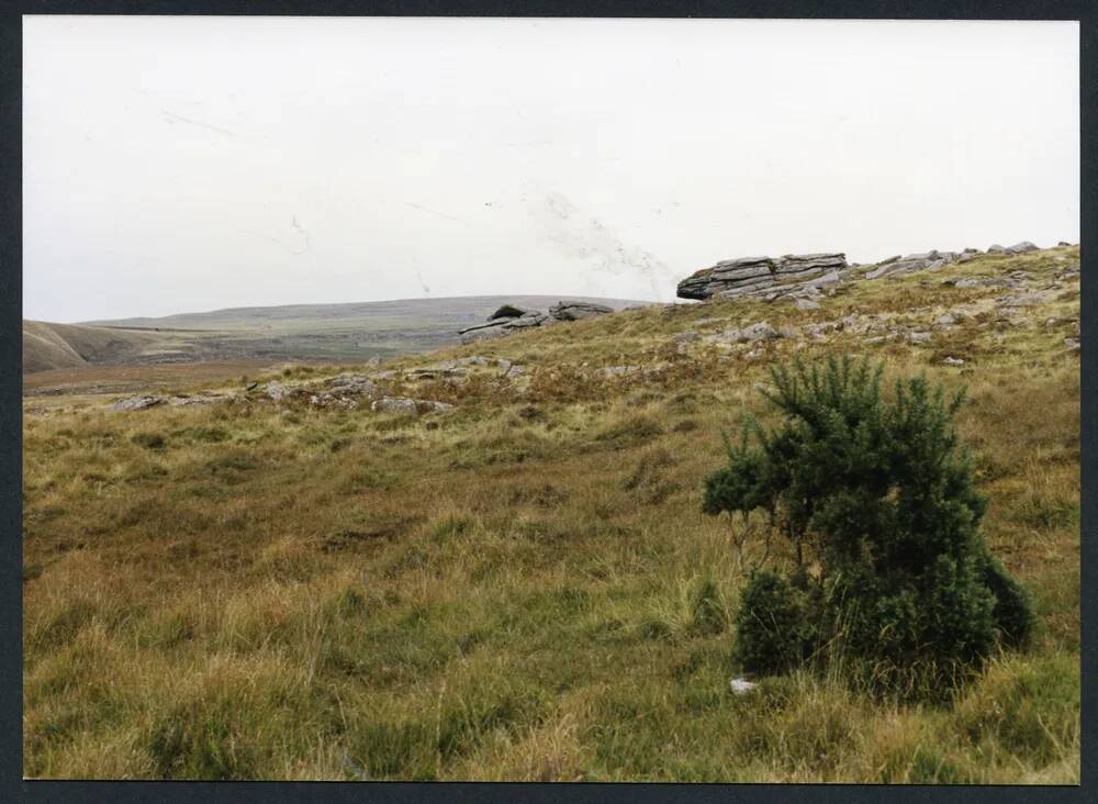 An image from the Dartmoor Trust Archive