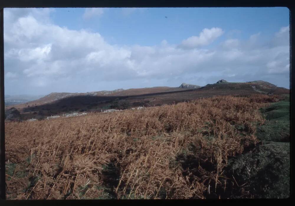 Haytor 