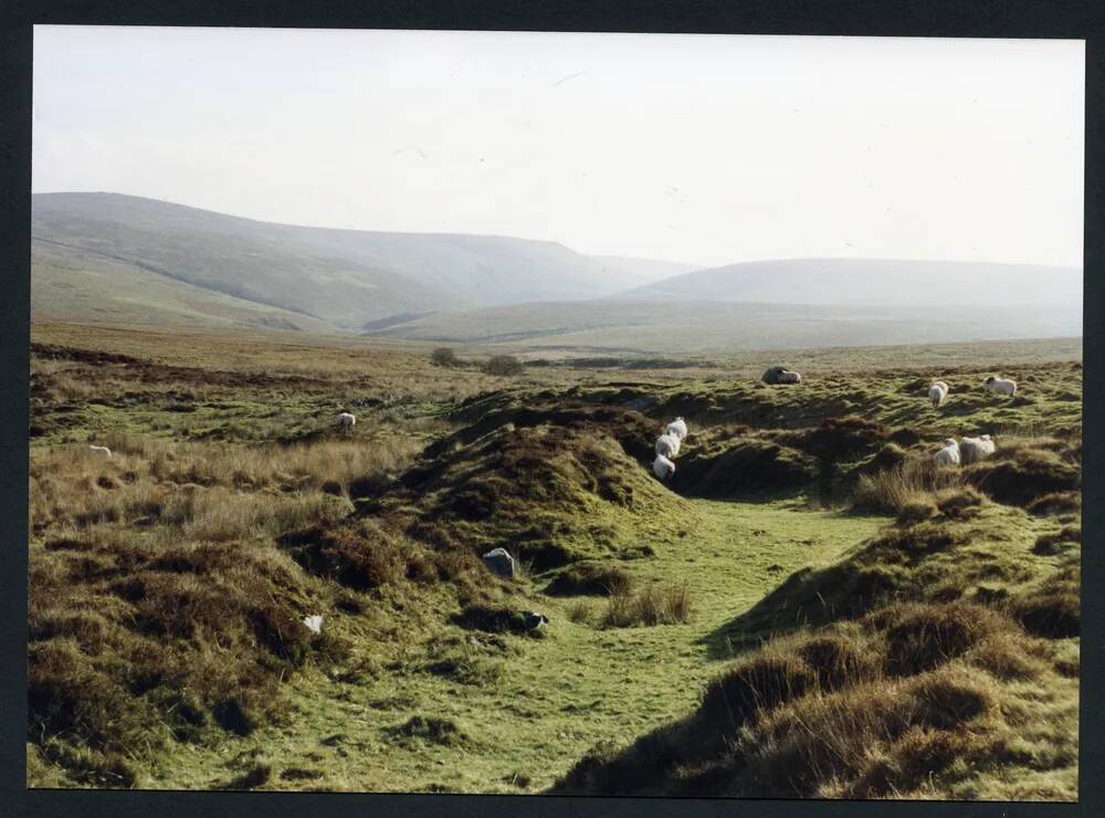 An image from the Dartmoor Trust Archive