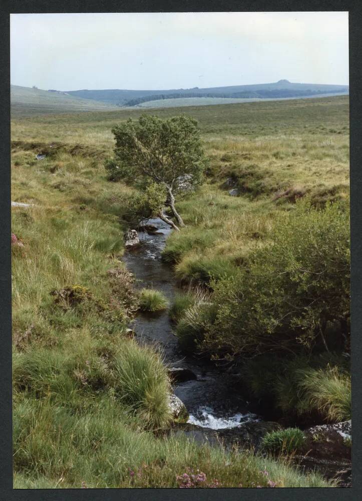 An image from the Dartmoor Trust Archive