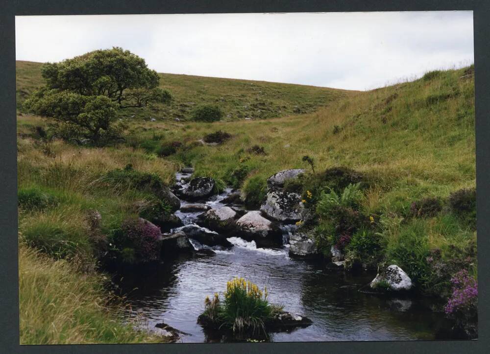 An image from the Dartmoor Trust Archive