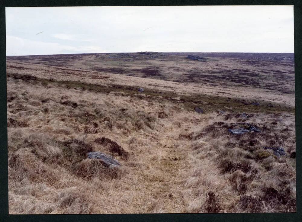 An image from the Dartmoor Trust Archive