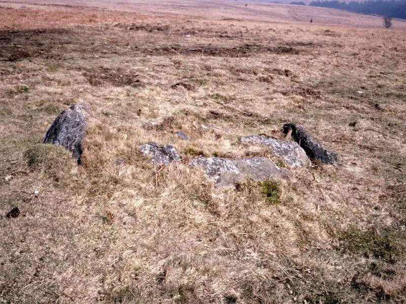 An image from the Dartmoor Trust Archive