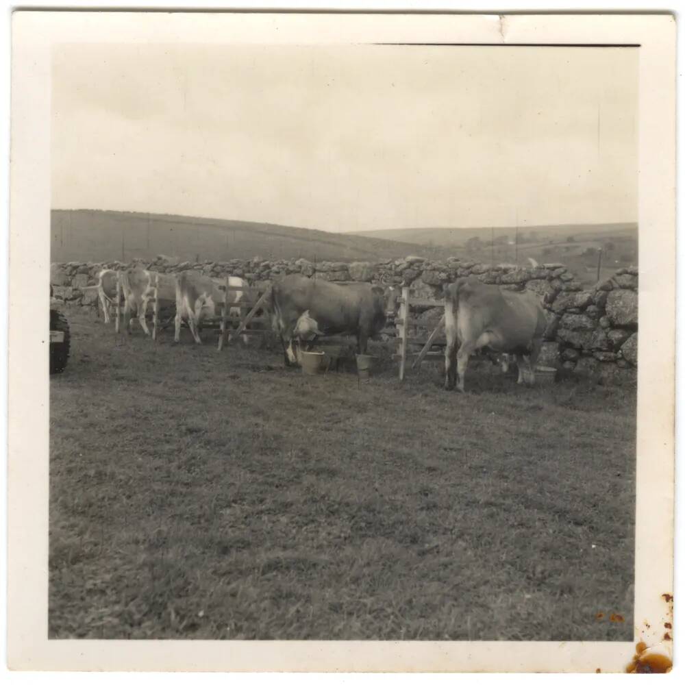 An image from the Dartmoor Trust Archive