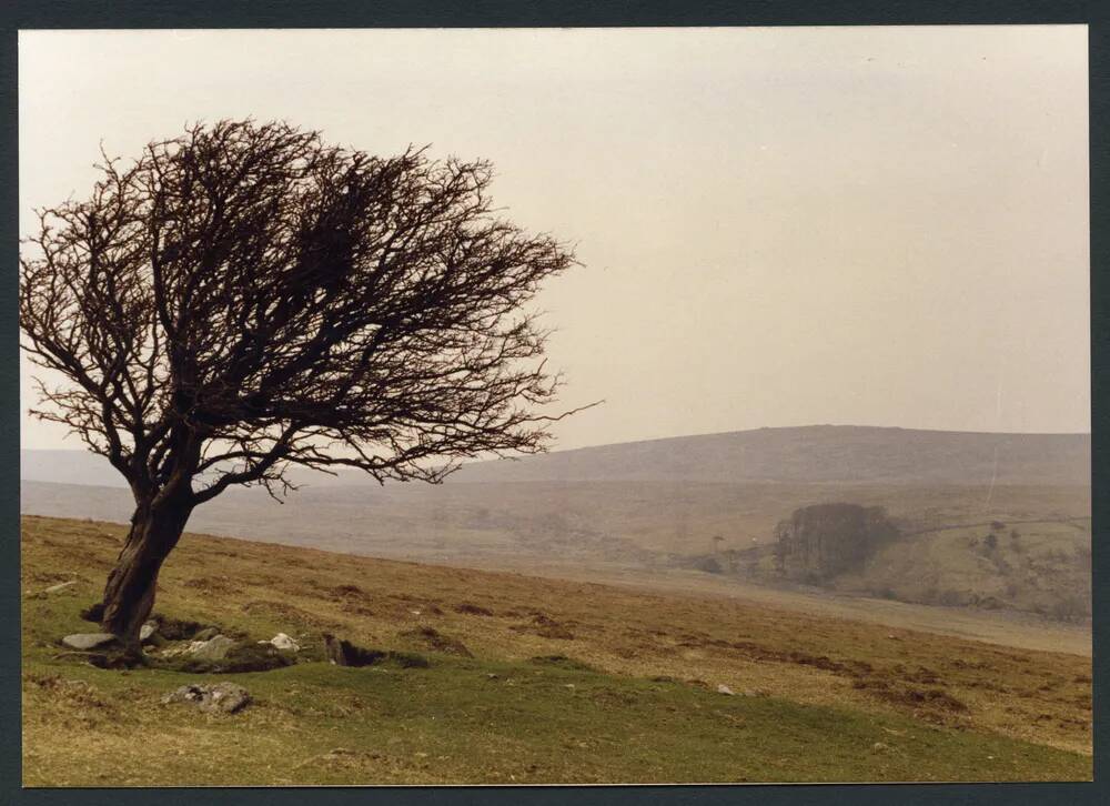 7/14 Near source of Scad N E to Glascombe Corner 27/3/1991